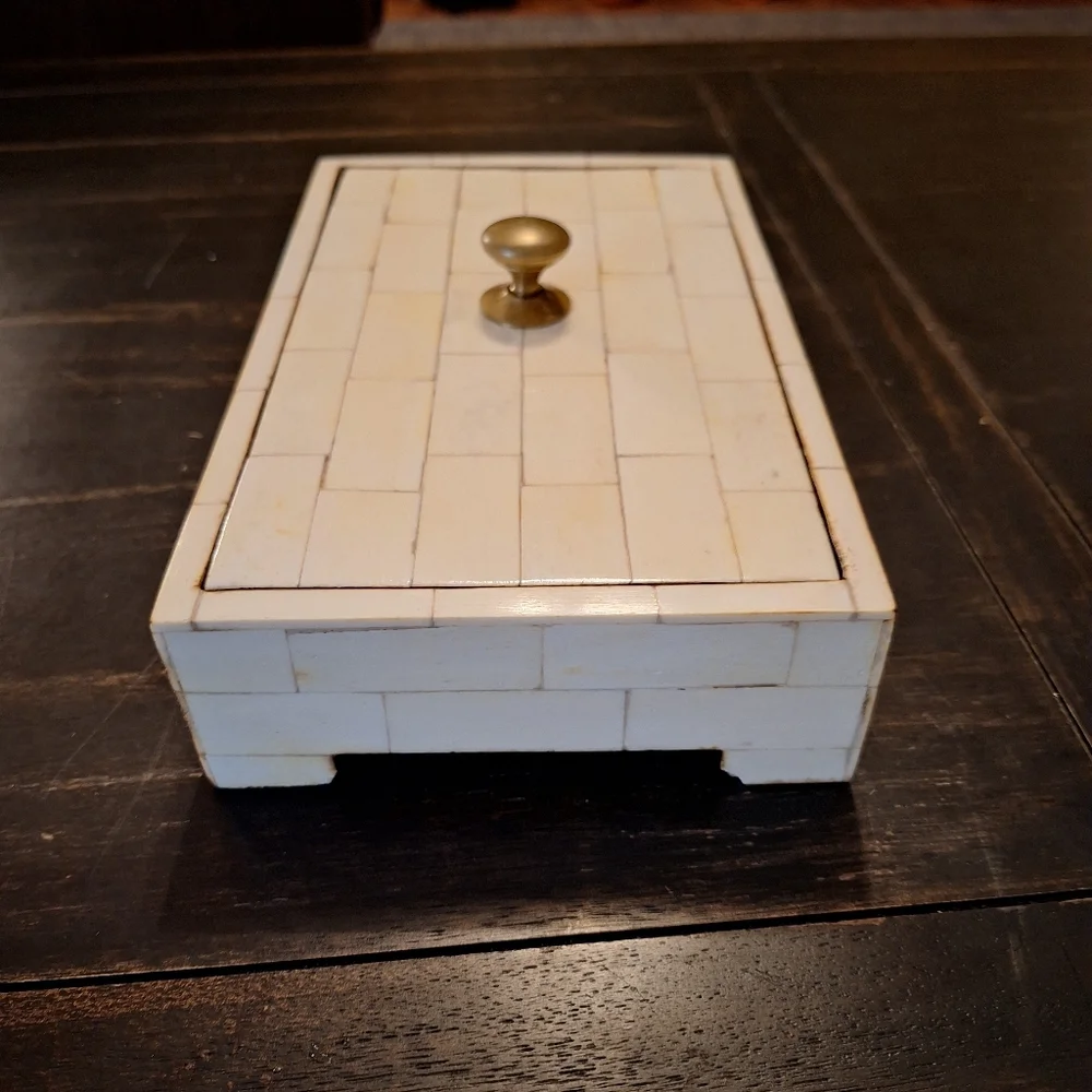 Bone and Brass Box